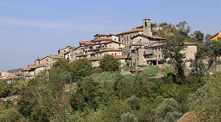 Agriturismo Cliternia - Vigna
