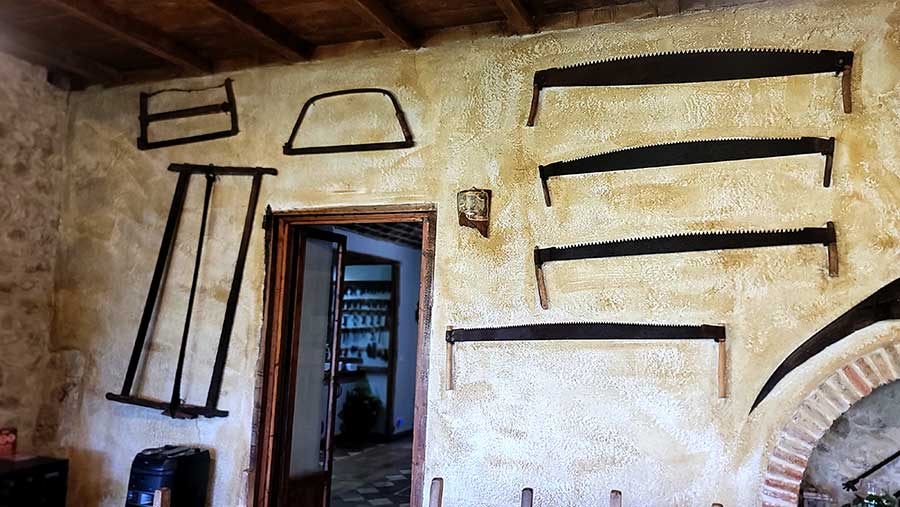 Agriturismo Cliternia