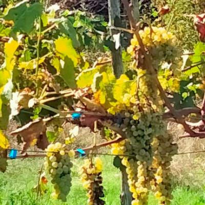 Agriturismo Cliternia 9